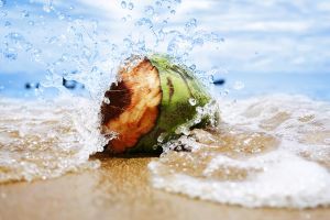 Beneficios del agua de coco durante el embarazo