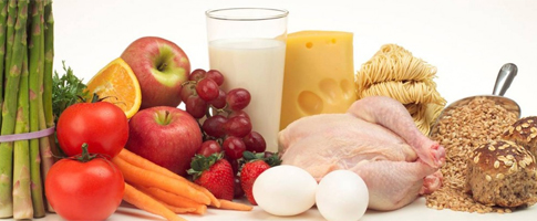 alimentacion